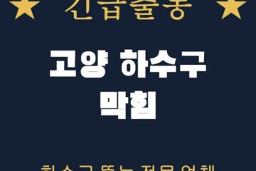 고양 하수구 막힘 1898