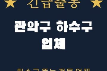 관악구 하수구 업체 2035