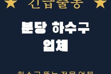 분당 하수구 업체 1955