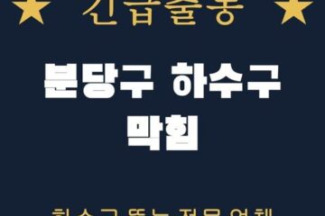 분당구 하수구 막힘 1966