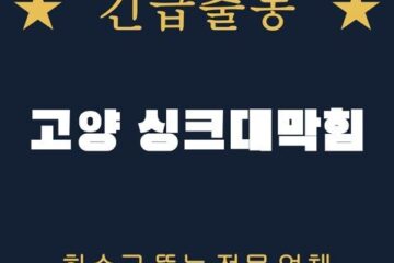 고양 싱크대막힘 2201
